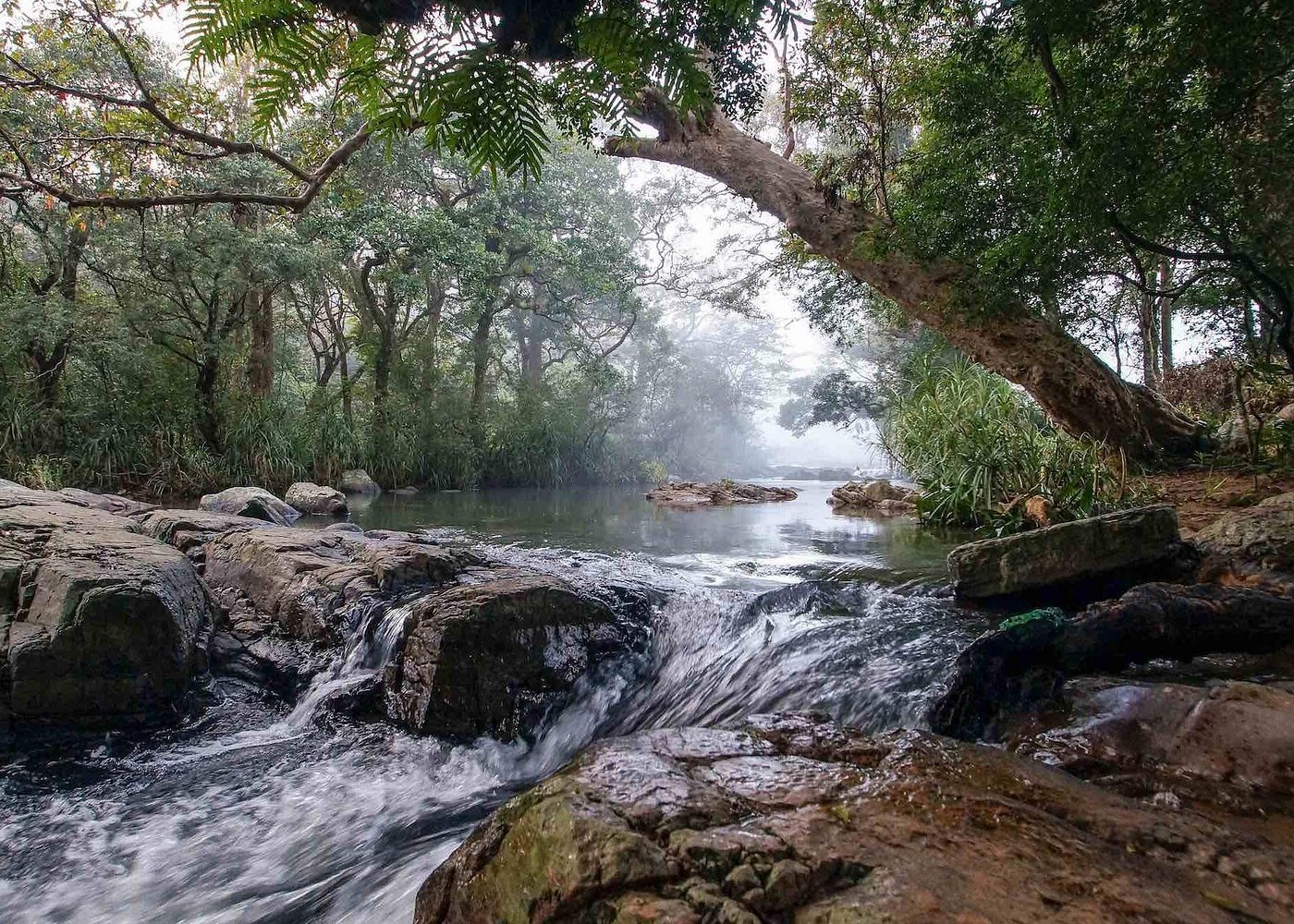 Knuckles Mountain Range